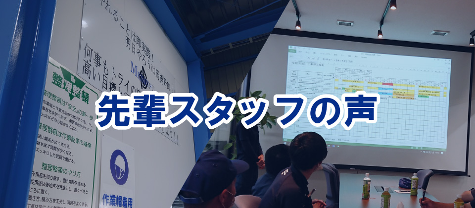 先輩スタッフの声